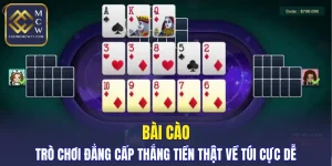 Bài Cào