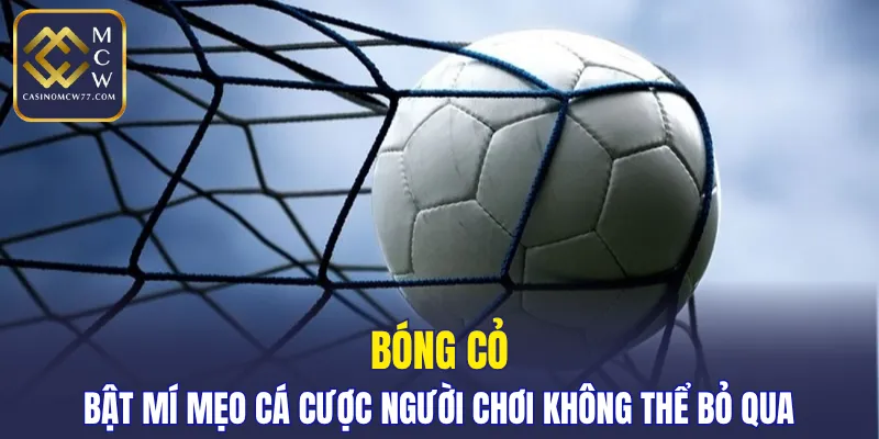 Bóng Cỏ