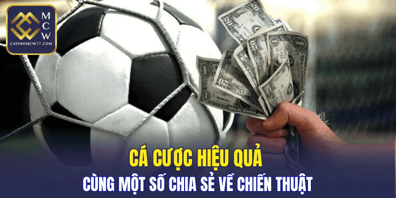 Cá cược hiệu quả cùng một số chia sẻ về chiến thuật