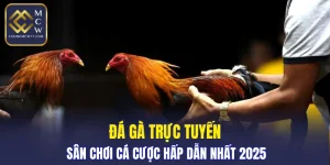 Đá Gà Trực Tuyến