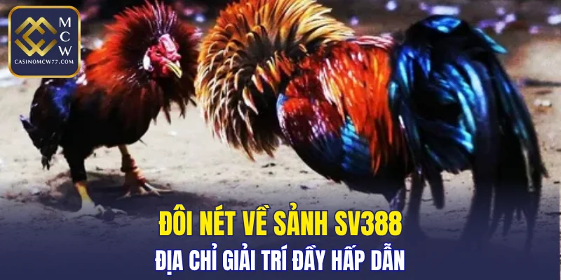 Địa chỉ giải trí đầy hấp dẫn