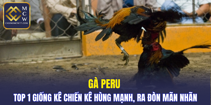 Gà Peru