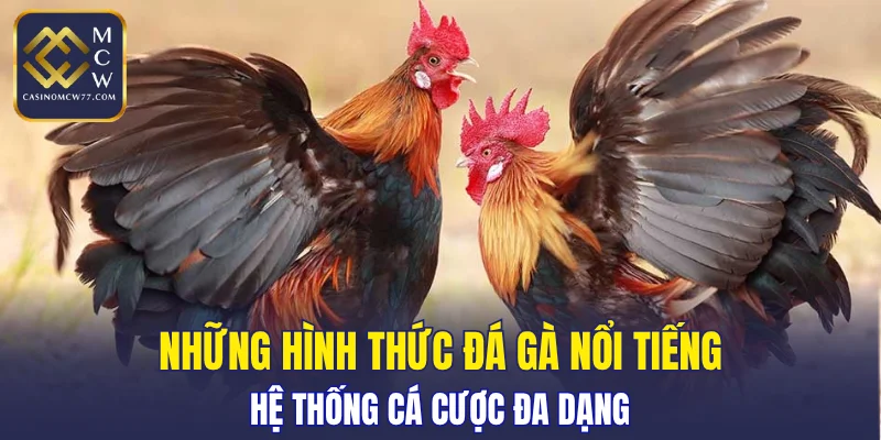 Hệ thống cá cược đa dạng