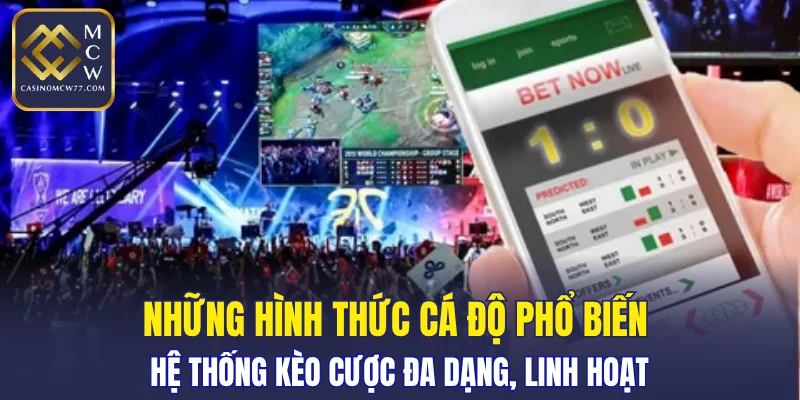 Hệ thống kèo cược đa dạng, linh hoạt