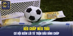 Kèo Chấp Nửa Trái