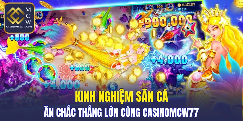 Kinh nghiệm săn cá ăn chắc thắng lớn cùng CASINOMCW77