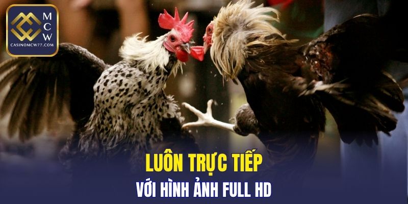 Luôn trực tiếp với hình ảnh full HD