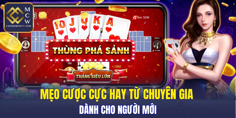 Mẹo cược cực hay từ chuyên gia dành cho người mới