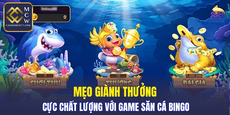 Mẹo giành thưởng cực chất lượng với game săn cá Bingo