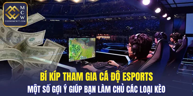 Một số gợi ý giúp bạn làm chủ các loại kèo