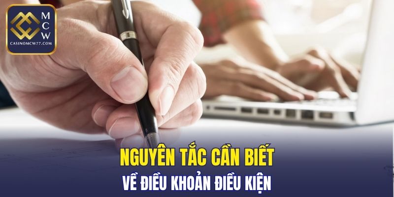 Nguyên tắc cần biết về điều khoản điều kiện