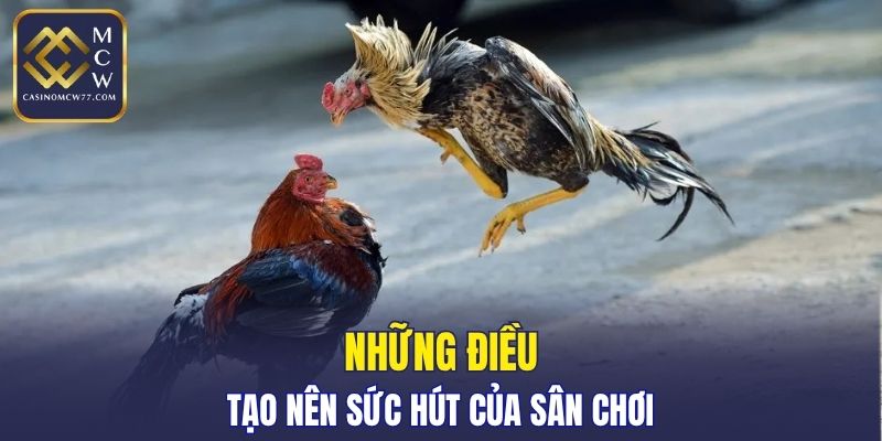Những điều tạo nên sức hút của đá gà CASINOMCW77