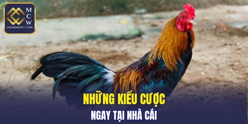Những kiểu cược ngay tại nhà cái