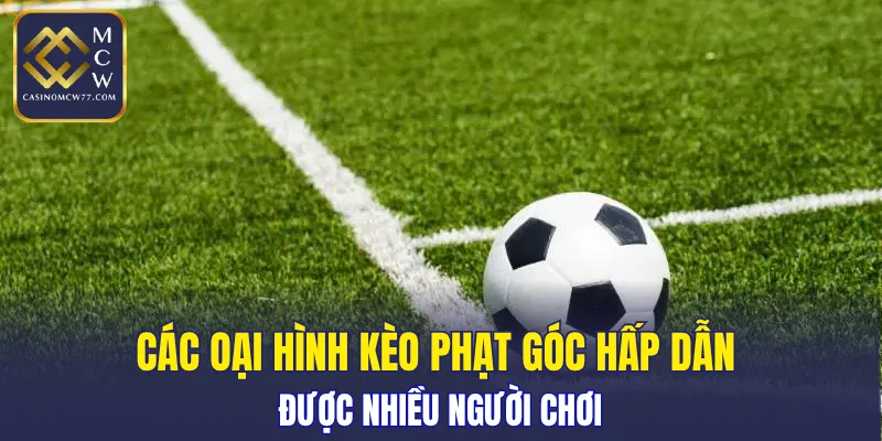 Những loại hình hấp dẫn được nhiều người chơi