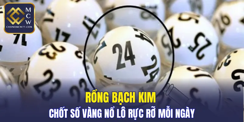 Rồng Bạch Kim