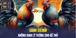 Sảnh SV388