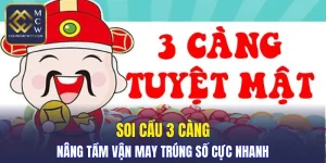 Soi Cầu 3 Càng