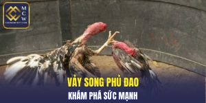 Vảy Song Phủ Đao