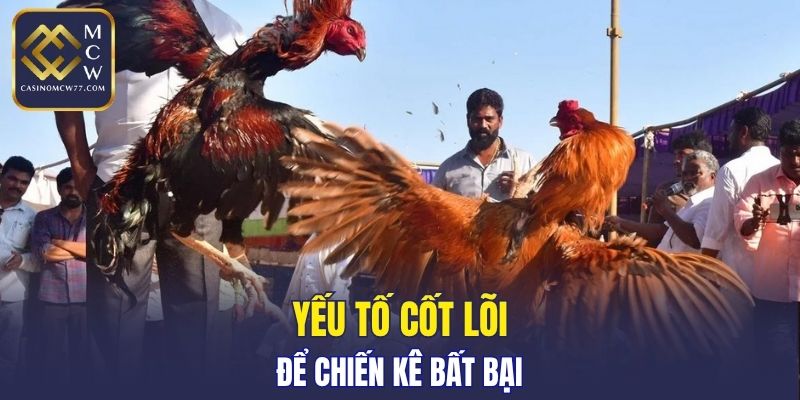 Yếu tố cốt lõi để chiến kê bất bại